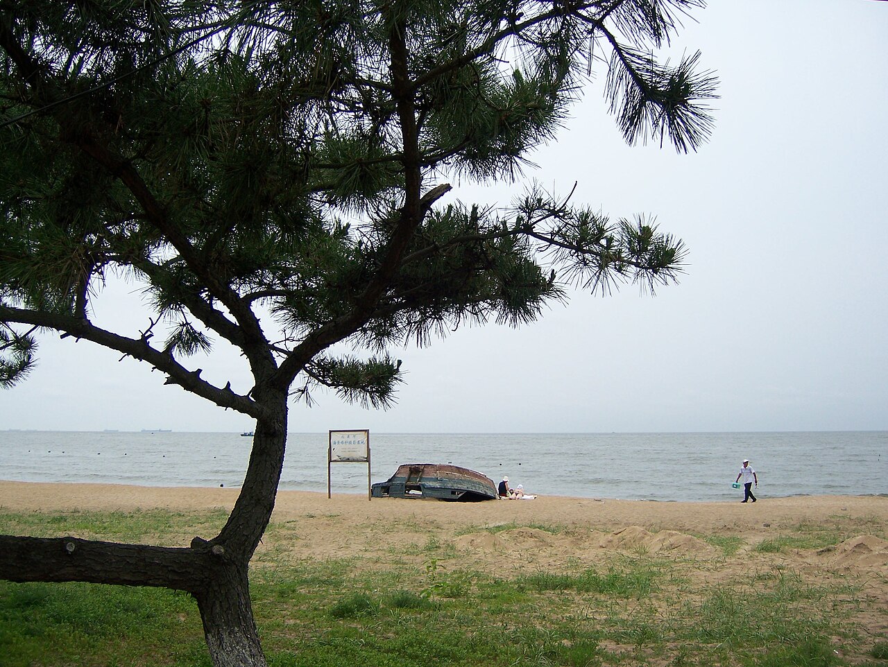海岸背后的观鸟湿地栈道，夏天之外安静得很