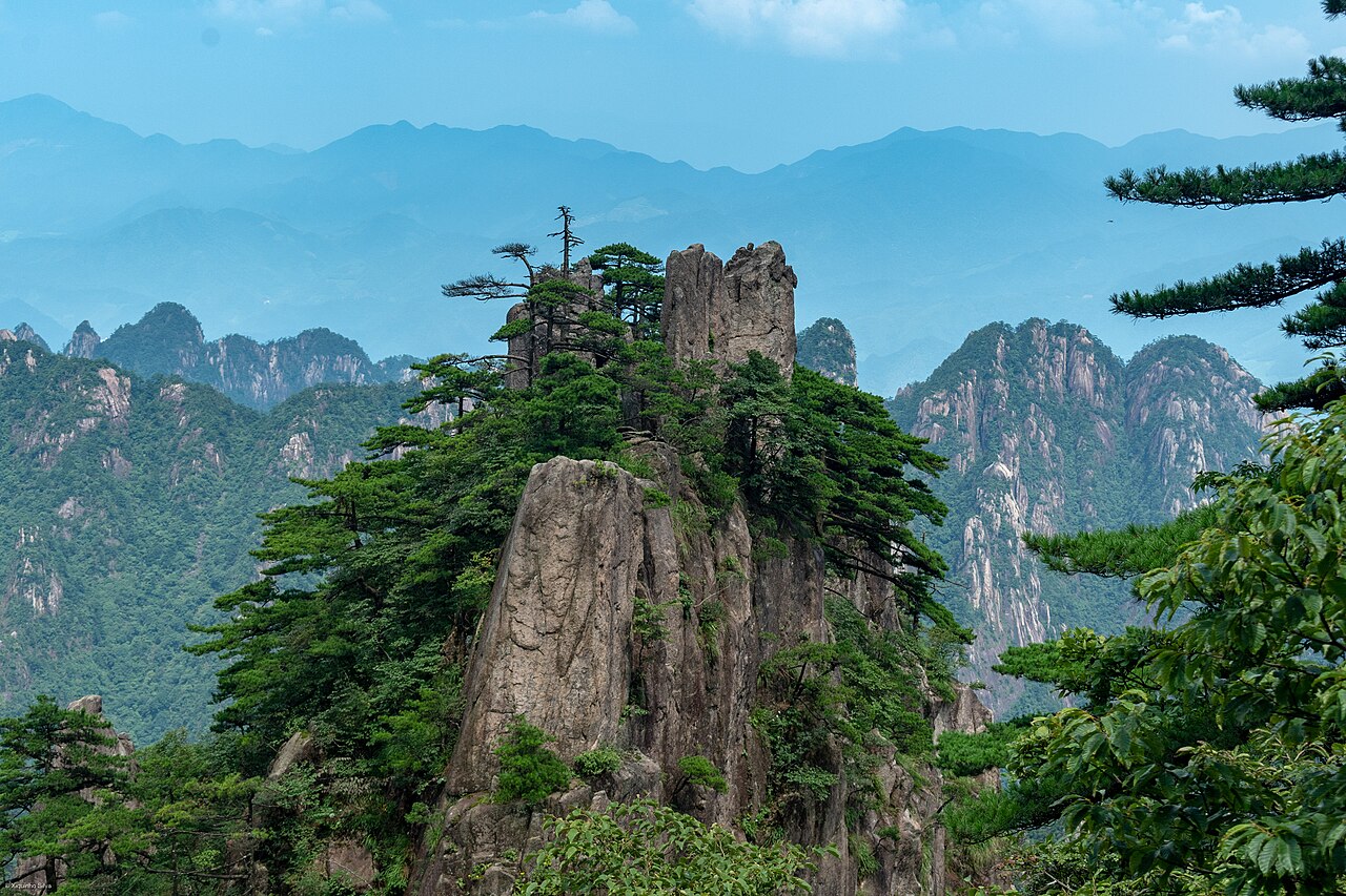 一棵从裸岩里长出来的黄山松