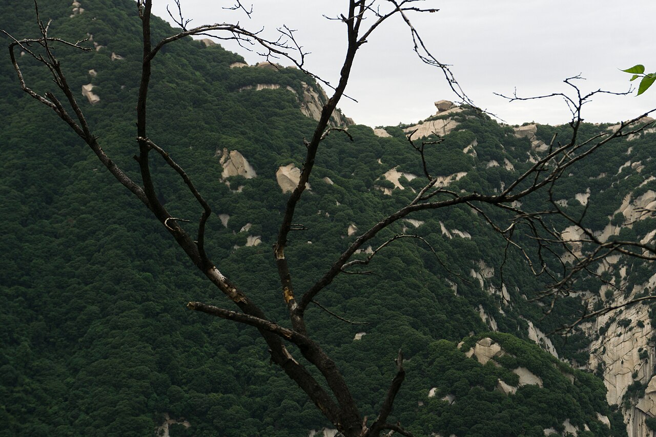 北峰云雾，云台峰上望天外三峰