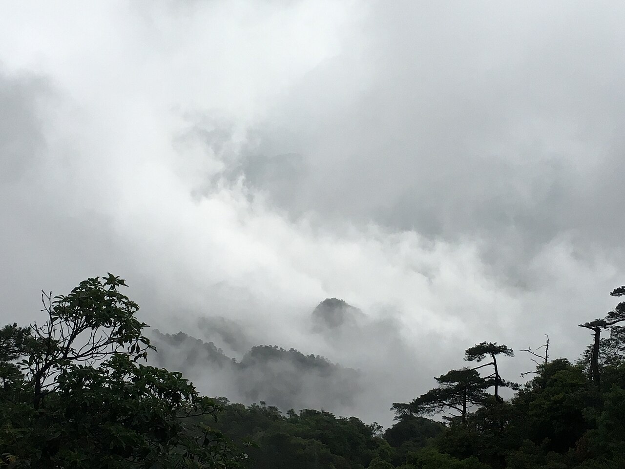 A sea of clouds at dawn, above the granite peaks