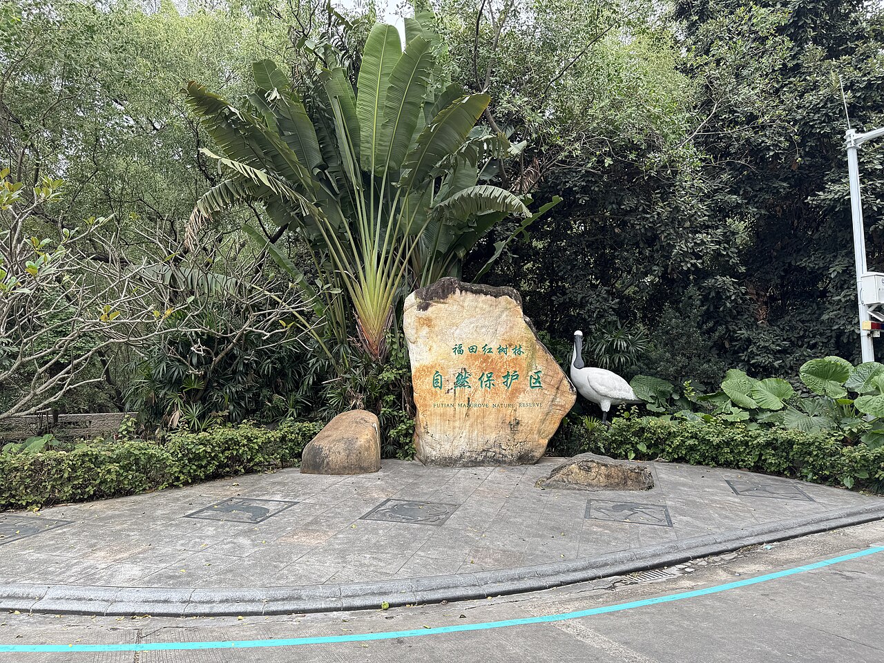 大梅沙的海，深圳东部最方便下海的免费沙滩
