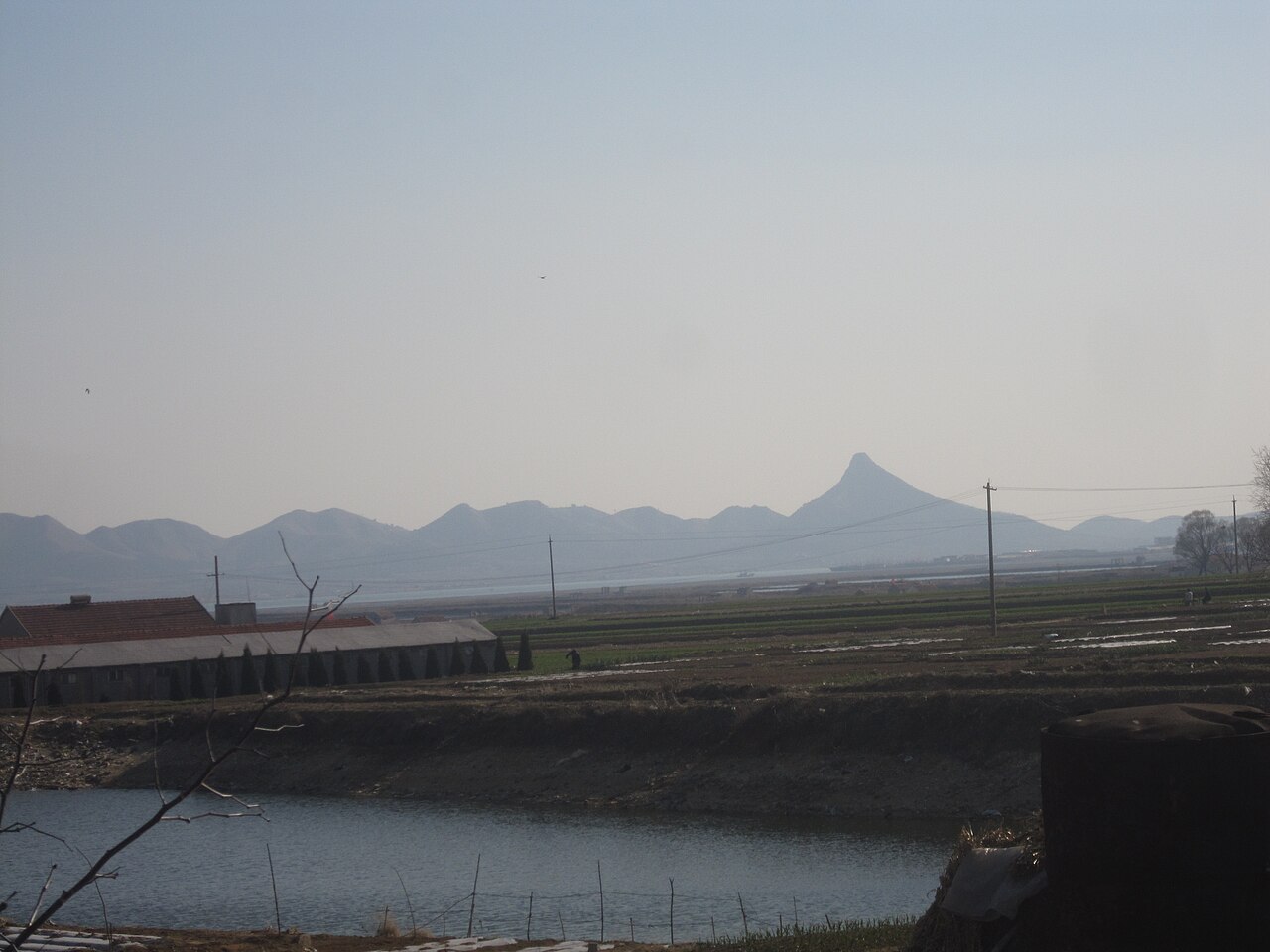 成山卫沙坝背后潟湖里的野生大天鹅