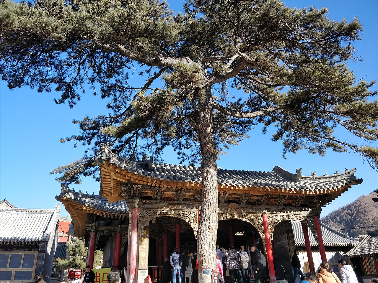 寺院里的素斋——清淡、安静，还是免费的